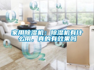 常見問題家用除濕機：除濕機有什么用，真的有效果嗎