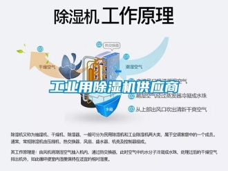 常見問題工業(yè)用除濕機(jī)供應(yīng)商