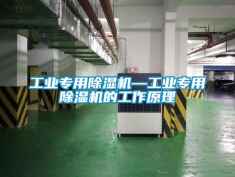 常見問題工業專用除濕機—工業專用除濕機的工作原理