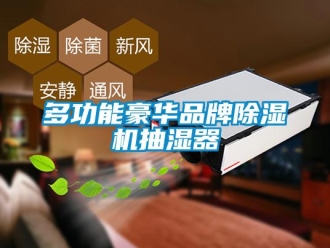 企業新聞多功能豪華品牌除濕機抽濕器