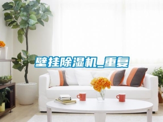 企業新聞壁掛除濕機_重復