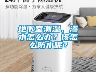 企業(yè)新聞地下室潮濕、滲水怎么辦？該怎么防水呢？