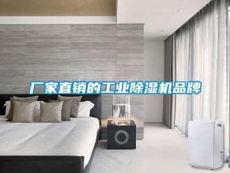 企業新聞廠家直銷的工業除濕機品牌