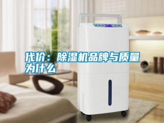 常見問題代價：除濕機品牌與質(zhì)量為什么