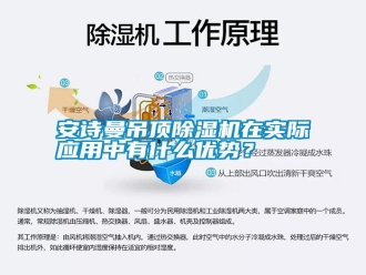 常見問題安詩曼吊頂除濕機在實際應用中有什么優勢？