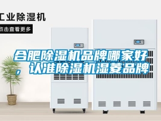 企業(yè)新聞合肥除濕機(jī)品牌哪家好，認(rèn)準(zhǔn)除濕機(jī)濕菱品牌
