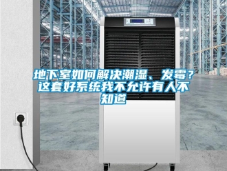 企業(yè)新聞地下室如何解決潮濕、發(fā)霉？這套好系統(tǒng)我不允許有人不知道