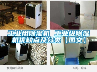常見問題工業(yè)用除濕機(jī) 工業(yè)級除濕機(jī)優(yōu)缺點(diǎn)及分類【圖文】