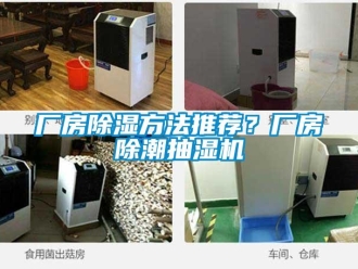 企業新聞廠房除濕方法推薦？廠房除潮抽濕機