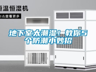 企業(yè)新聞地下室太潮濕！教你5個(gè)防潮小妙招