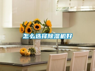 行業(yè)新聞怎么選擇除濕機好
