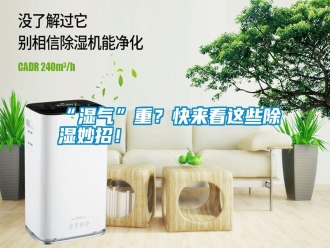 常見問題“濕氣”重？快來看這些除濕妙招！