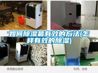 企業新聞如何除濕最有效的方法(怎樣有效的除濕)