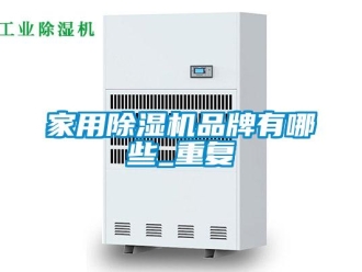 企業新聞家用除濕機品牌有哪些_重復