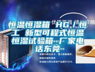 新聞資訊恒溫恒濕箱 HG／恒工 新型可程式恒溫恒濕試驗(yàn)箱 廠家電話(huà)東莞