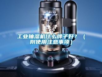 企業(yè)新聞工業(yè)抽濕機什么牌子好？（附使用注意事項）
