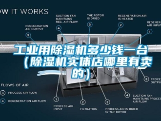 常見問題工業(yè)用除濕機(jī)多少錢一臺（除濕機(jī)實(shí)體店哪里有賣的）