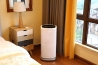 [新品] 恒溫恒濕試驗箱(Y-HE-150L)