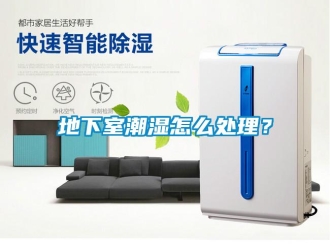 企業新聞地下室潮濕怎么處理？