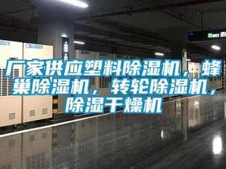 企業(yè)新聞廠家供應(yīng)塑料除濕機(jī)，蜂巢除濕機(jī)，轉(zhuǎn)輪除濕機(jī)，除濕干燥機(jī)