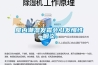 住地下室怎么除濕 住地下室怎么除濕