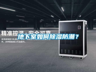 企業新聞地下室如何除濕防潮？