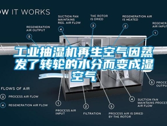 企業(yè)新聞工業(yè)抽濕機再生空氣因蒸發(fā)了轉(zhuǎn)輪的水分而變成濕空氣