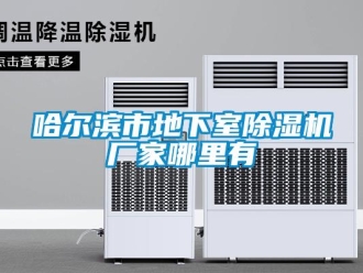 企業新聞哈爾濱市地下室除濕機廠家哪里有