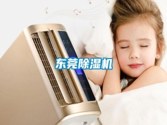 行業(yè)新聞東莞除濕機