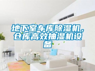 企業新聞地下室車庫除濕機，倉庫高效抽濕機設備