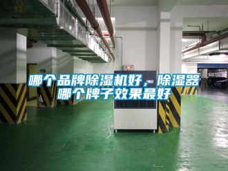 企業新聞哪個品牌除濕機好，除濕器哪個牌子效果最好