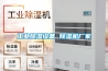 工業除濕設備 除濕機廠家