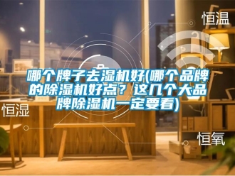 企業新聞哪個牌子去濕機好(哪個品牌的除濕機好點？這幾個大品牌除濕機一定要看)
