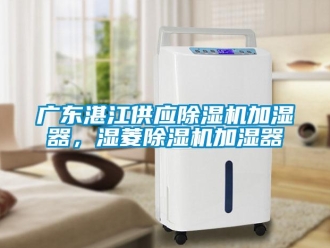 行業新聞廣東湛江供應除濕機加濕器，濕菱除濕機加濕器