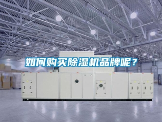 企業新聞如何購買除濕機品牌呢？