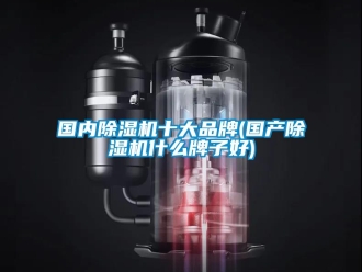 企業新聞國內除濕機十大品牌(國產除濕機什么牌子好)