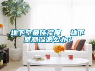 企業(yè)新聞地下室最佳濕度  地下室潮濕怎么辦？