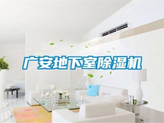 行業新聞廣安地下室除濕機
