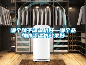 企業新聞哪個牌子除濕機好—哪個品牌的除濕機效果好