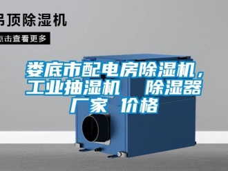 企業新聞婁底市配電房除濕機，工業抽濕機  除濕器廠家 價格