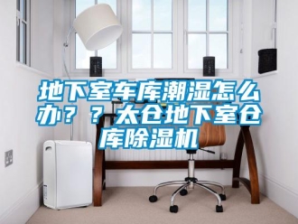 企業新聞地下室車庫潮濕怎么辦？？太倉地下室倉庫除濕機