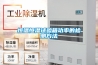 高低溫濕熱交變?cè)囼?yàn)箱