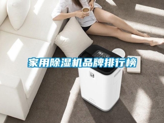 企業新聞家用除濕機品牌排行榜