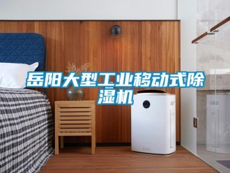 常見問題岳陽大型工業移動式除濕機