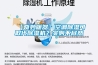 【奇妙暖器】空調除濕可取代除濕機？實則不盡然！