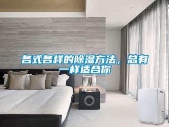 企業新聞各式各樣的除濕方法，總有一樣適合你
