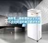 梅雨季，糧食如何安全存儲？這份除濕防潮攻略搶先收藏!