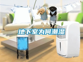 企業新聞地下室為何潮濕
