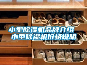 企業新聞小型除濕機品牌介紹 小型除濕機價格說明