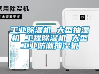 常見問題工業除濕機 大型抽濕機 工程除濕機 大型工業防潮抽濕機